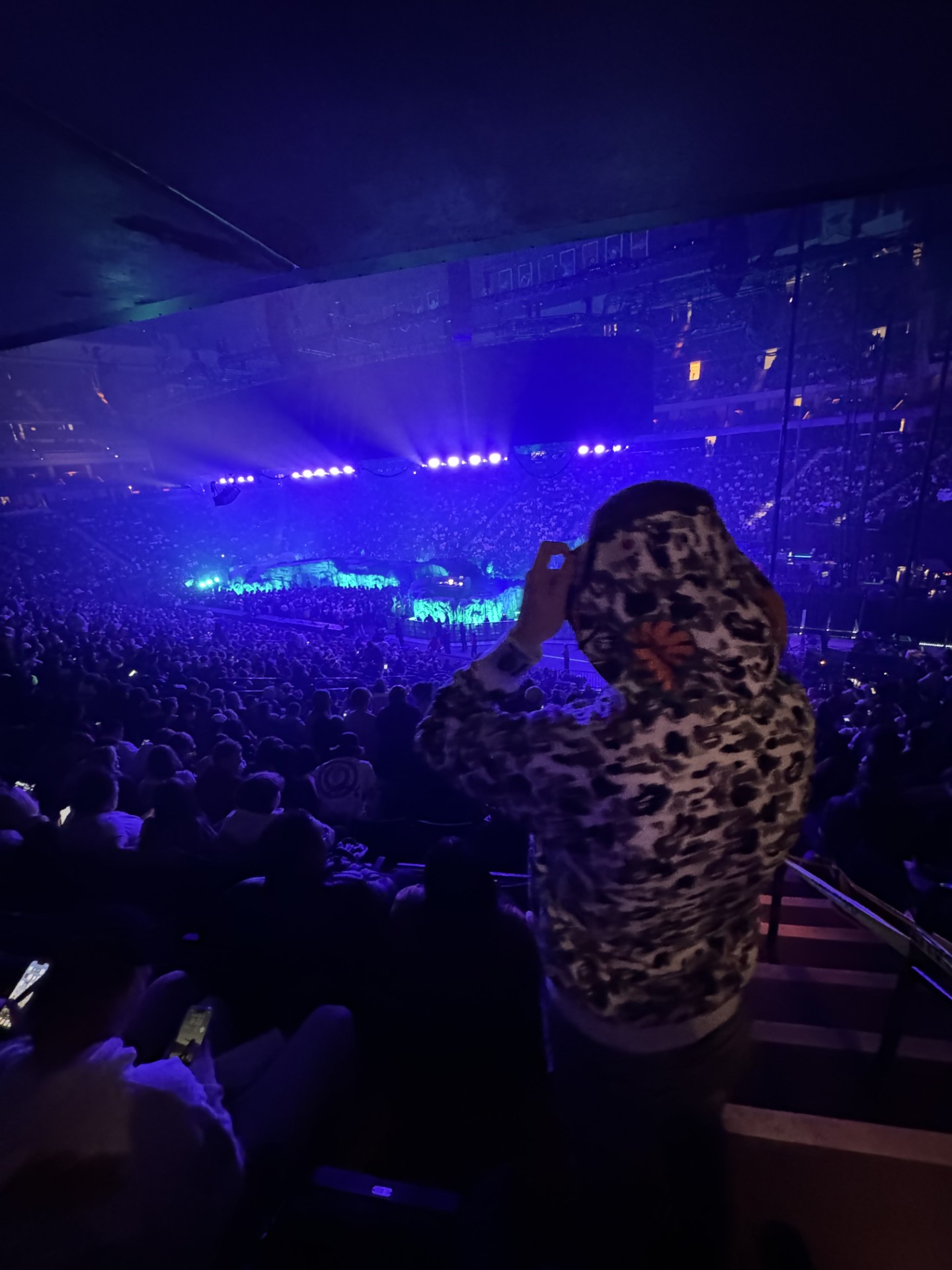 I enjoy seeing my favorite artists in concert when tickets are cheap enough